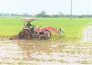 Hà Nội: Đất nông nghiệp đã không còn để hoang