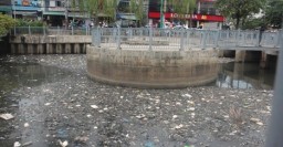 100 tấn rác ùn ứ trên kênh Nghi Lộc- Thị Nghè đã được thu gom