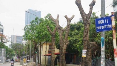 Hàng loạt cây xanh phủ bóng mát bị cắt tỉa trơ trụi giữa mùa hè tại Hà Nội