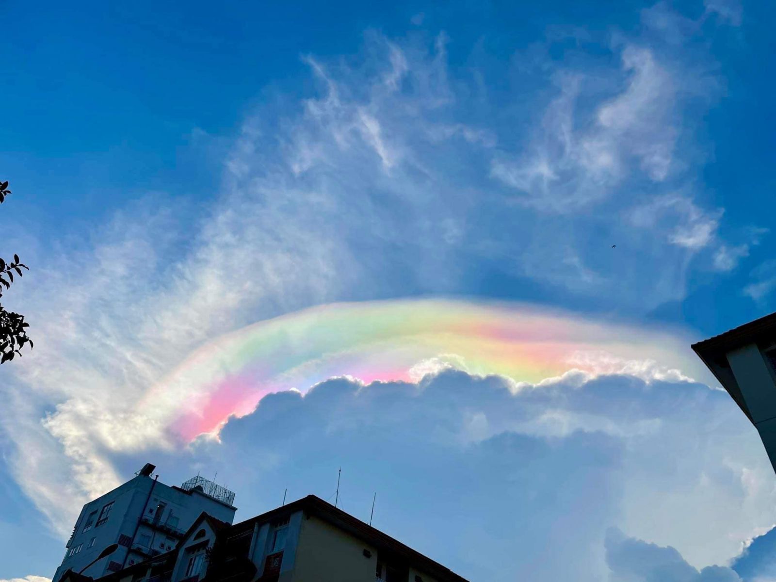 Dân mạng thích thú khoe ảnh mây ngũ sắc trên bầu trời TP Hồ Chí Minh